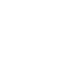 Harley-Davidson